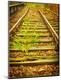 Premium Photographic Print