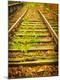 Premium Photographic Print