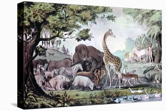 Stretched Canvas Print, , large