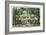 Nathaniel Hawthorne Home, Concord-null-Framed Art Print