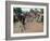 Natintigou Village, Benin (Dahmoney), Africa-Bruno Barbier-Framed Photographic Print