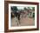 Natintigou Village, Benin (Dahmoney), Africa-Bruno Barbier-Framed Photographic Print