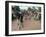 Natintigou Village, Benin (Dahmoney), Africa-Bruno Barbier-Framed Photographic Print