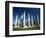 National Capitol Columns in the National Arboretum-Joseph Sohm-Framed Photographic Print