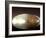 National Centre for the Performing Arts, Egg Shape Reflection, Illuminated During National Day Fest-Kimberly Walker-Framed Photographic Print