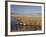 National Elk Refuge, Wyoming, USA, with Pair of Trumpeter Swans at Nest (Cygnus Cygnus Buccanitor}-Rolf Nussbaumer-Framed Photographic Print