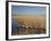 National Elk Refuge, Wyoming, USA, with Pair of Trumpeter Swans at Nest (Cygnus Cygnus Buccanitor}-Rolf Nussbaumer-Framed Photographic Print