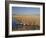 National Elk Refuge, Wyoming, USA, with Pair of Trumpeter Swans at Nest (Cygnus Cygnus Buccanitor}-Rolf Nussbaumer-Framed Photographic Print