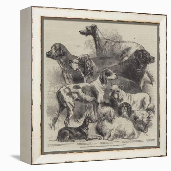 National Exhibition of Dogs at Birmingham-Harrison William Weir-Framed Premier Image Canvas