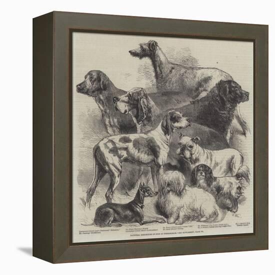 National Exhibition of Dogs at Birmingham-Harrison William Weir-Framed Premier Image Canvas