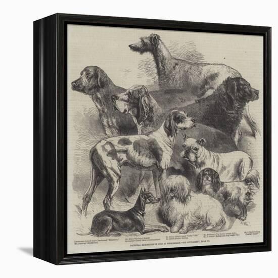 National Exhibition of Dogs at Birmingham-Harrison William Weir-Framed Premier Image Canvas