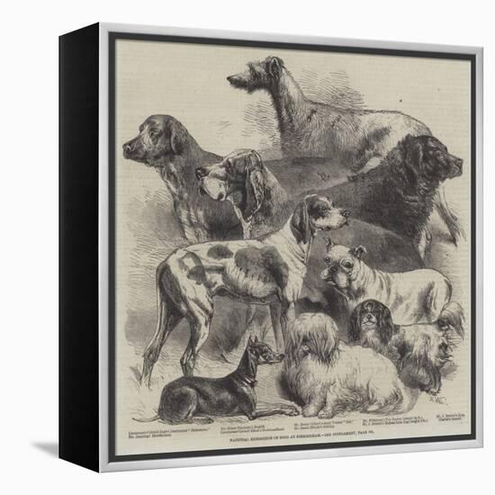 National Exhibition of Dogs at Birmingham-Harrison William Weir-Framed Premier Image Canvas
