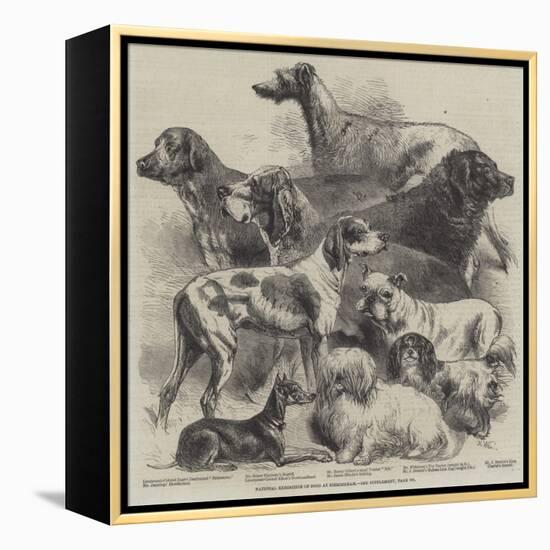 National Exhibition of Dogs at Birmingham-Harrison William Weir-Framed Premier Image Canvas