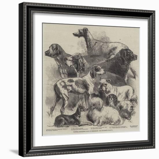 National Exhibition of Dogs at Birmingham-Harrison William Weir-Framed Giclee Print