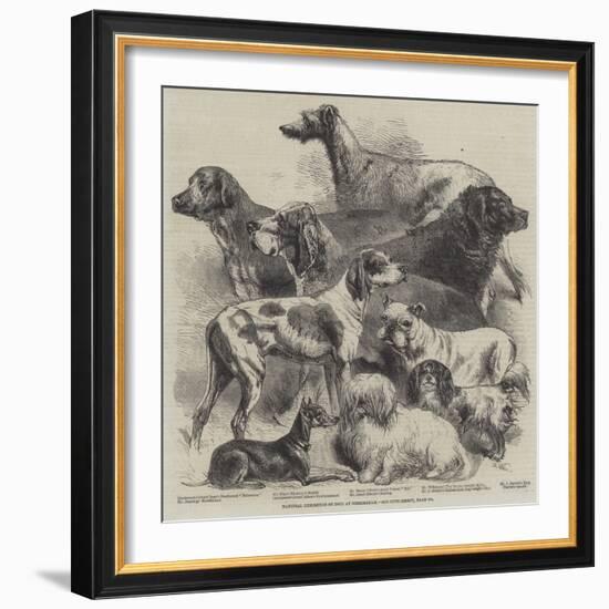 National Exhibition of Dogs at Birmingham-Harrison William Weir-Framed Giclee Print