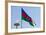 National Flag Blowing in Wind, Baku, Azerbaijan-Michael Runkel-Framed Photographic Print