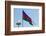 National Flag Blowing in Wind, Baku, Azerbaijan-Michael Runkel-Framed Photographic Print