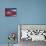 National Flag, Cuba, West Indies, Central America-Dominic Webster-Photographic Print displayed on a wall