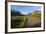 National Forest Road into the Chiricahua Mountains-Larry Ditto-Framed Photographic Print