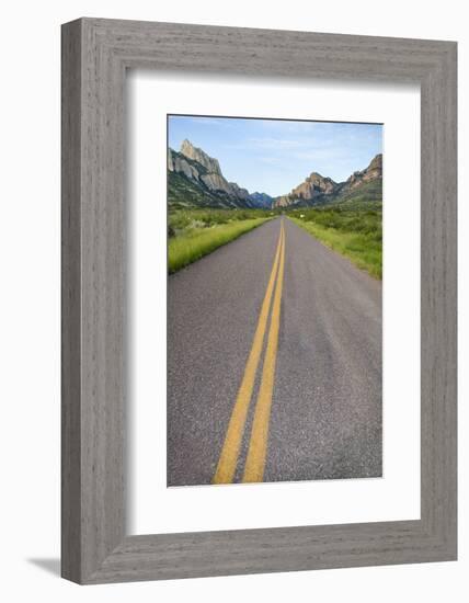 National Forest Road into the Chiricahua Mountains-Larry Ditto-Framed Photographic Print