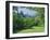 National Gallery and Princes Street Gardens, Edinburgh, Lothian, Scotland, UK, Europe-Peter Scholey-Framed Photographic Print