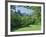 National Gallery and Princes Street Gardens, Edinburgh, Lothian, Scotland, UK, Europe-Peter Scholey-Framed Photographic Print