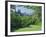 National Gallery and Princes Street Gardens, Edinburgh, Lothian, Scotland, UK, Europe-Peter Scholey-Framed Photographic Print