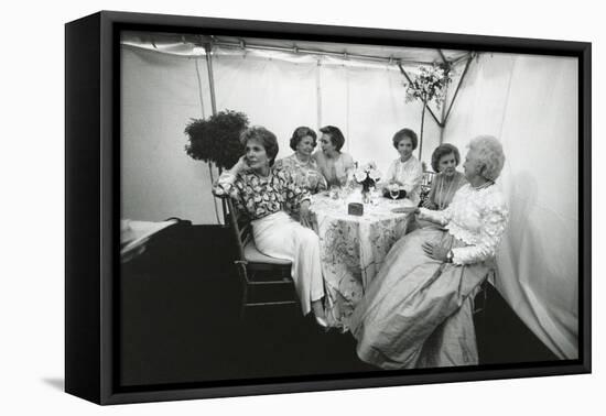 National Garden Gala, 'A Tribute to America's First Ladies' at the U.S. Botanical Garden-null-Framed Stretched Canvas