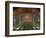 National Grand Theater, Beijing, China-Alice Garland-Framed Photographic Print