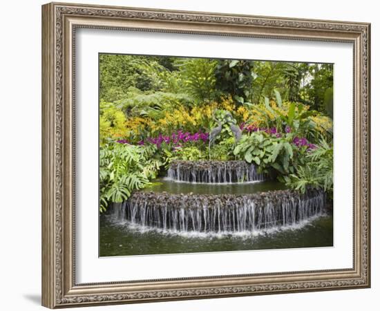 National Orchid Garden in Botanic Gardens, Singapore, Southeast Asia-Pearl Bucknall-Framed Photographic Print