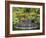 National Orchid Garden in Botanic Gardens, Singapore, Southeast Asia-Pearl Bucknall-Framed Photographic Print