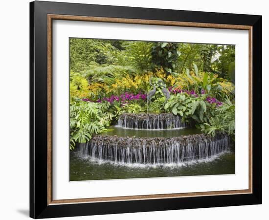 National Orchid Garden in Botanic Gardens, Singapore, Southeast Asia-Pearl Bucknall-Framed Photographic Print