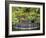 National Orchid Garden in Botanic Gardens, Singapore, Southeast Asia-Pearl Bucknall-Framed Photographic Print