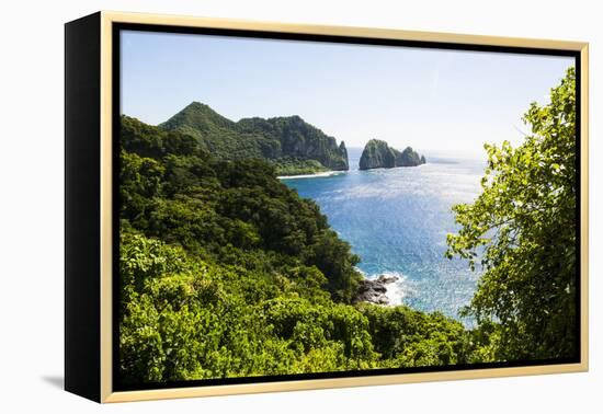 National Park of American Samoa, Tutuila Island, American Samoa, South Pacific-Michael Runkel-Framed Premier Image Canvas