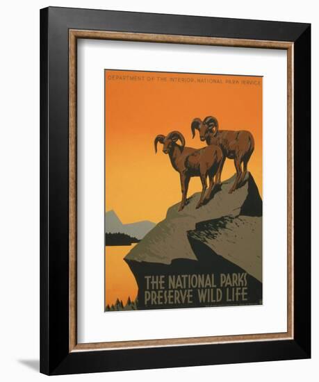 National Parks-J. Hirt-Framed Art Print