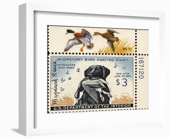 National Postal Museum: 3 Dollar Duck Stamp Remarque-null-Framed Art Print