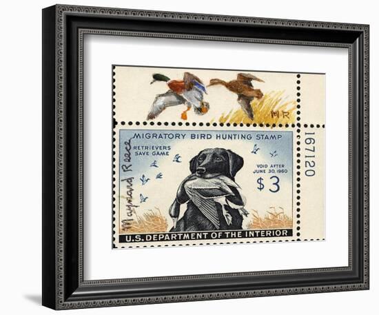 National Postal Museum: 3 Dollar Duck Stamp Remarque-null-Framed Art Print