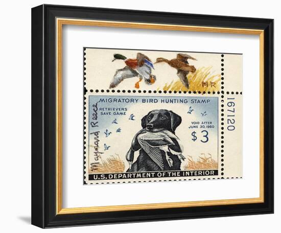 National Postal Museum: 3 Dollar Duck Stamp Remarque-null-Framed Art Print