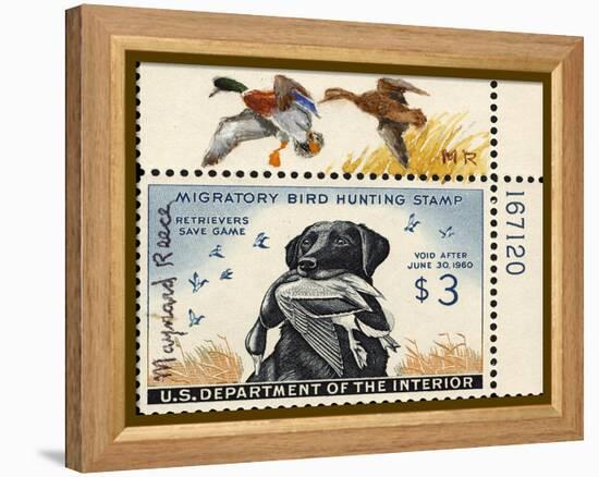 National Postal Museum: 3 Dollar Duck Stamp Remarque-null-Framed Stretched Canvas