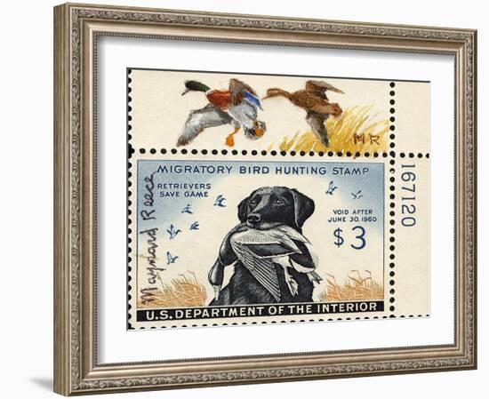 National Postal Museum: 3 Dollar Duck Stamp Remarque-null-Framed Art Print