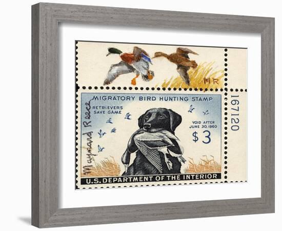 National Postal Museum: 3 Dollar Duck Stamp Remarque-null-Framed Art Print