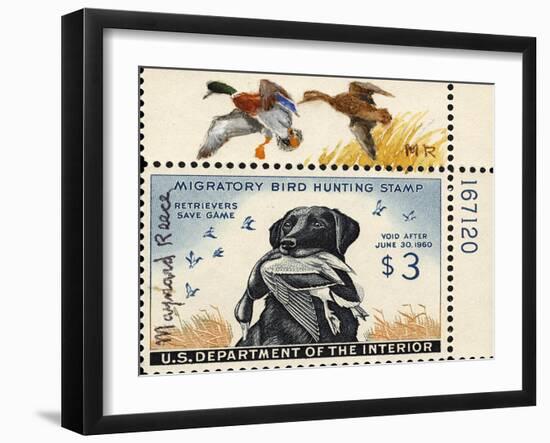 National Postal Museum: 3 Dollar Duck Stamp Remarque-null-Framed Art Print