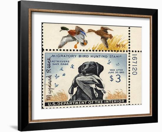 National Postal Museum: 3 Dollar Duck Stamp Remarque-null-Framed Art Print