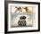 National Postal Museum: 3 Dollar Duck Stamp Remarque-null-Framed Art Print