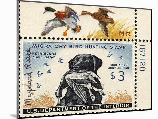 National Postal Museum: 3 Dollar Duck Stamp Remarque-null-Mounted Art Print