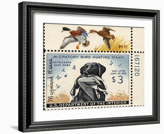 National Postal Museum: 3 Dollar Duck Stamp Remarque-null-Framed Art Print