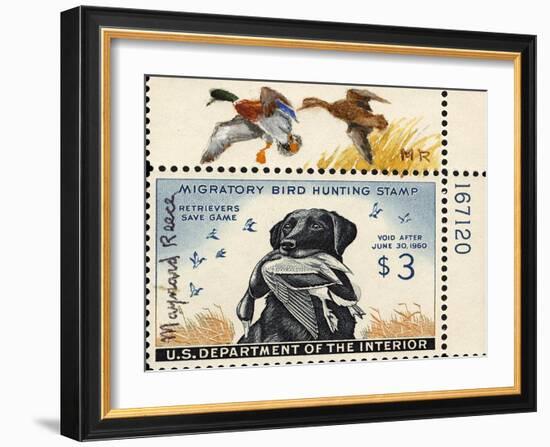 National Postal Museum: 3 Dollar Duck Stamp Remarque-null-Framed Art Print