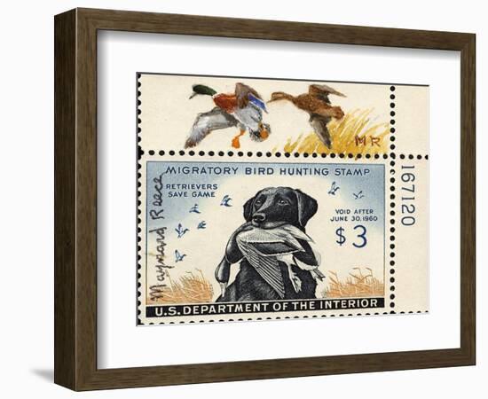 National Postal Museum: 3 Dollar Duck Stamp Remarque-null-Framed Premium Giclee Print