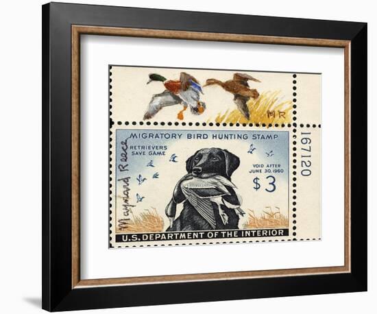 National Postal Museum: 3 Dollar Duck Stamp Remarque-null-Framed Premium Giclee Print