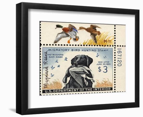 National Postal Museum: 3 Dollar Duck Stamp Remarque-null-Framed Premium Giclee Print